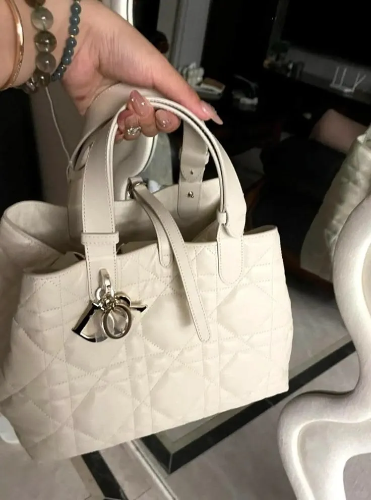 HandBag 2